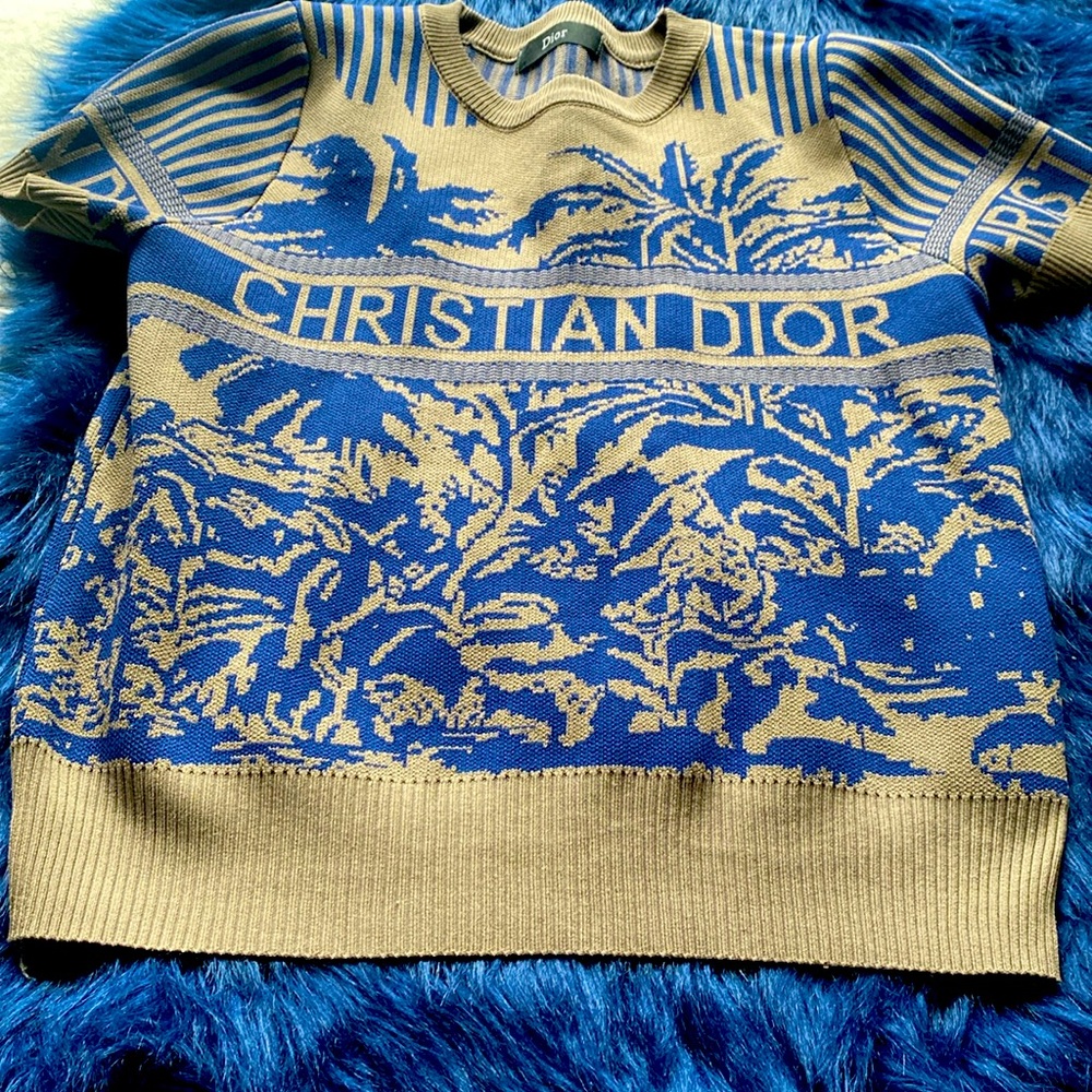 Dior Sweater Shirt